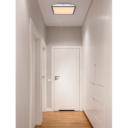 Globo - LED Plafonjera LED/12W/230V