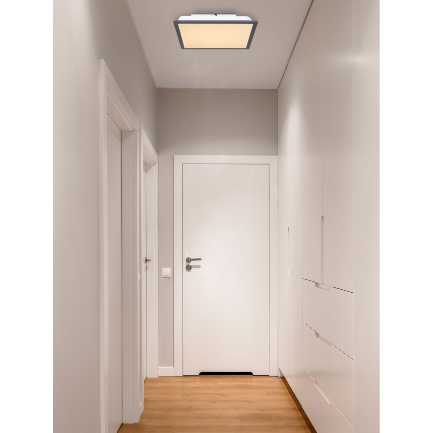 Globo - LED Plafonjera LED/12W/230V