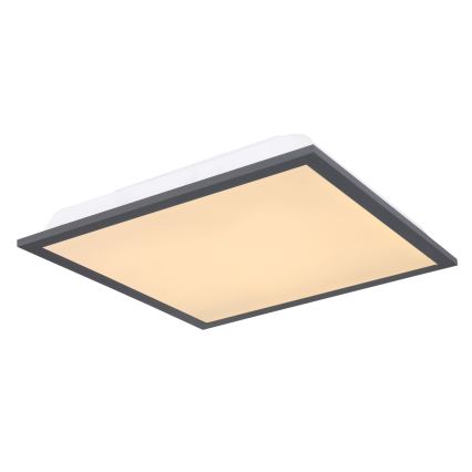 Globo - LED Plafonjera LED/12W/230V