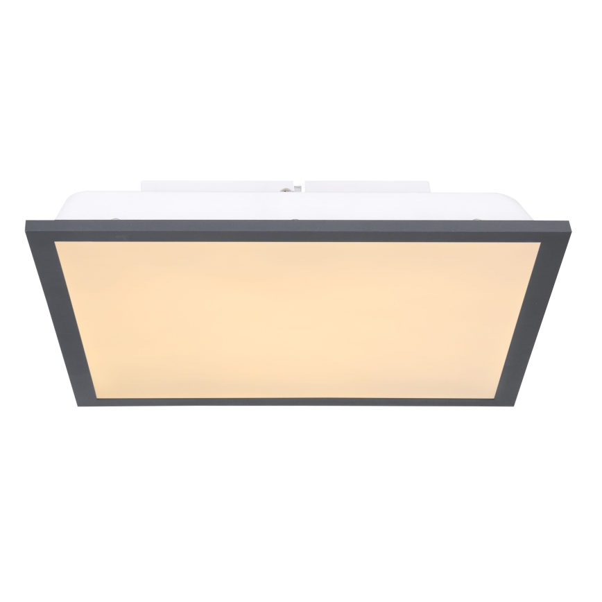 Globo - LED Plafonjera LED/12W/230V