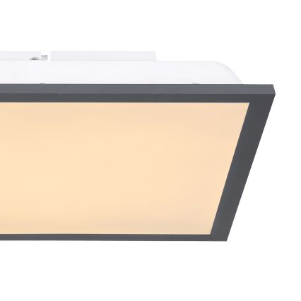 Globo - LED Plafonjera LED/12W/230V