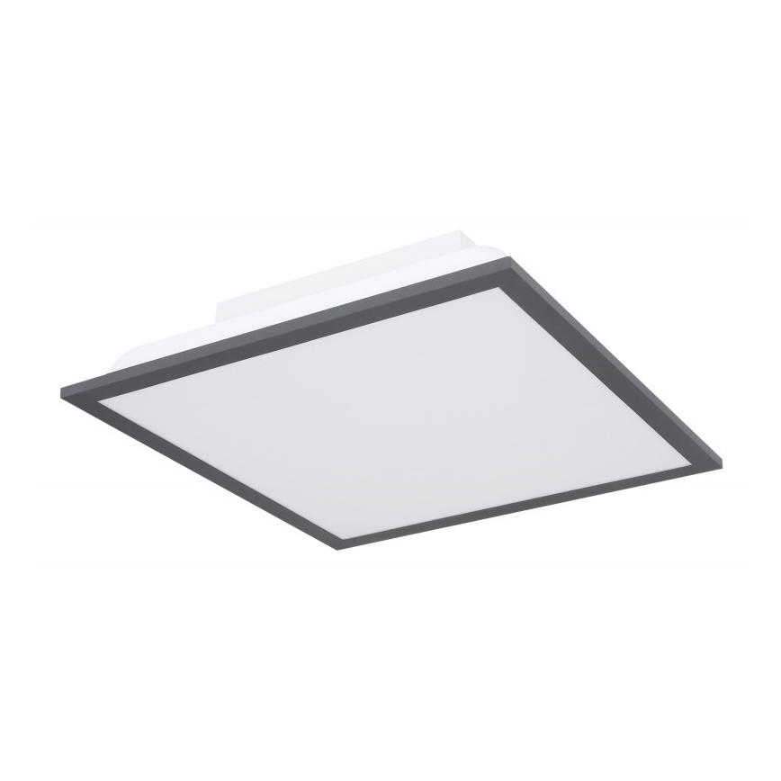 Globo - LED Stropna svjetiljka LED/12W + LED/4W/230V