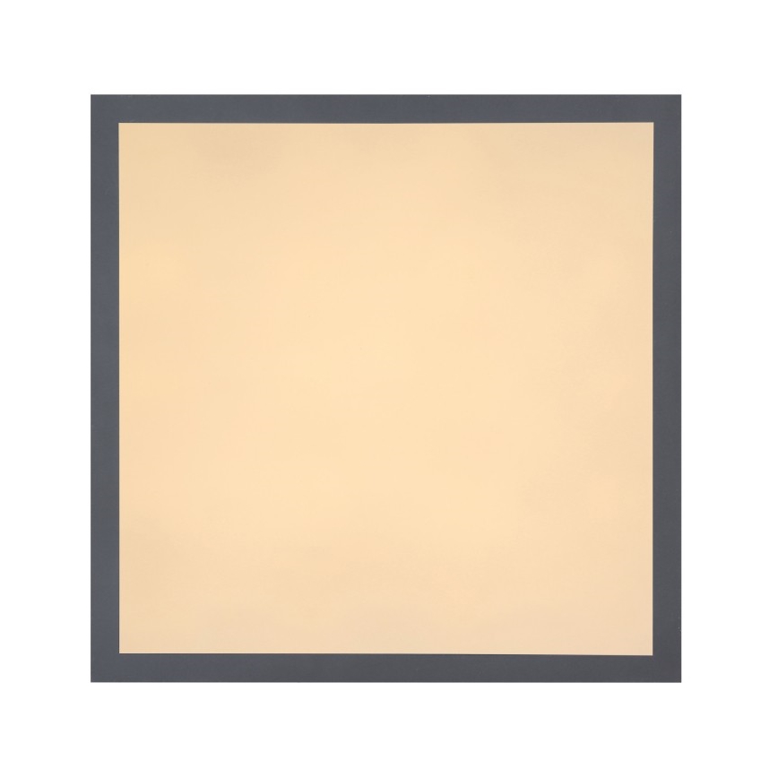 Globo - LED Stropna svjetiljka LED/12W + LED/4W/230V