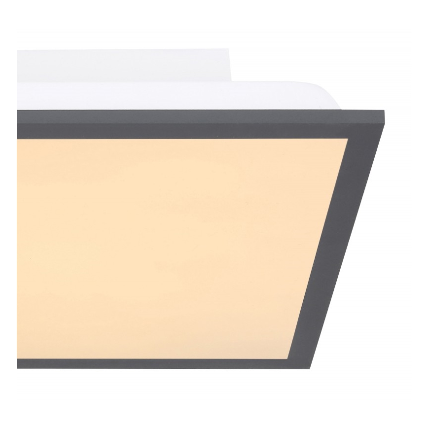 Globo - LED Stropna svjetiljka LED/12W + LED/4W/230V