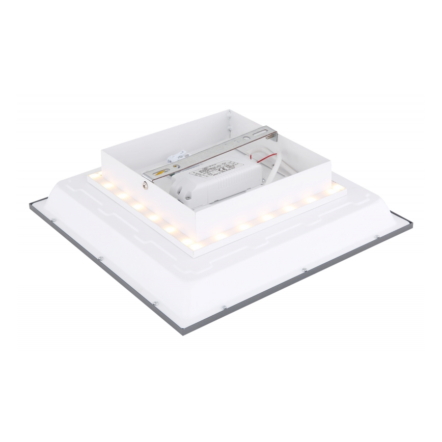 Globo - LED Stropna svjetiljka LED/12W + LED/4W/230V