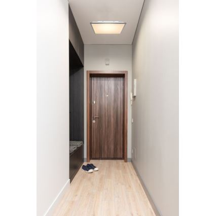 Globo - LED Plafonjera LED/24W/230V