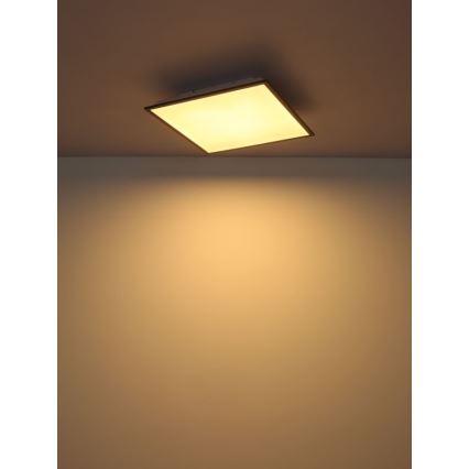 Globo - LED Plafonjera LED/24W/230V