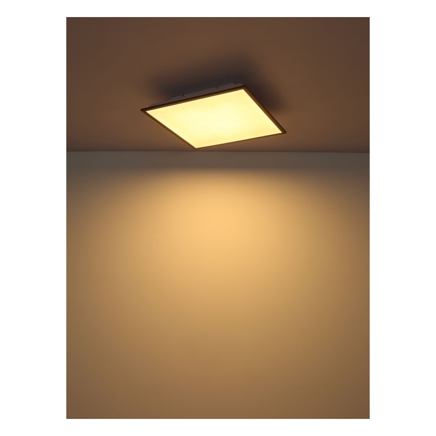 Globo - LED Plafonjera LED/24W/230V