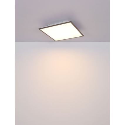 Globo - LED Plafonjera LED/24W/230V