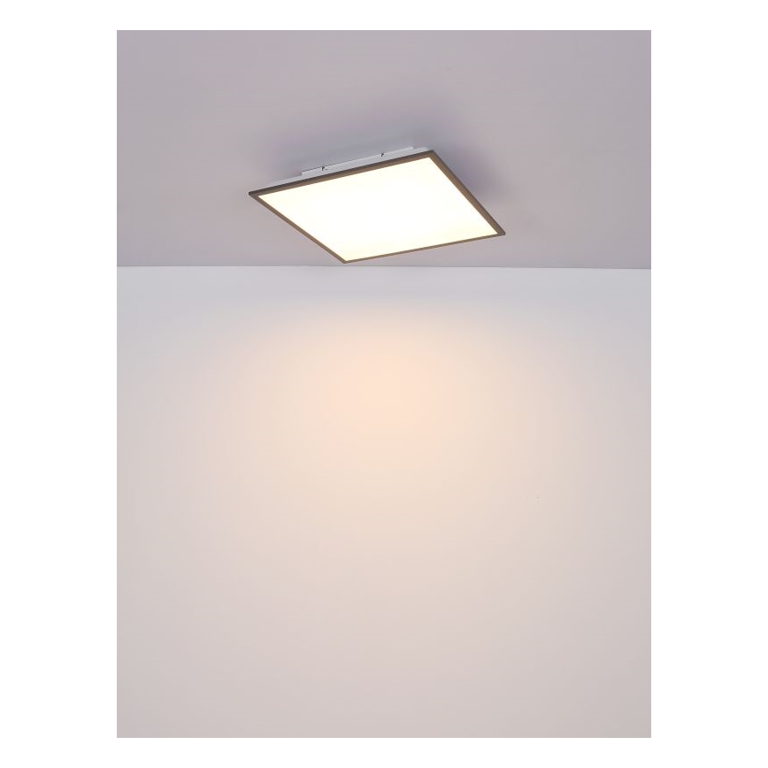 Globo - LED Plafonjera LED/24W/230V