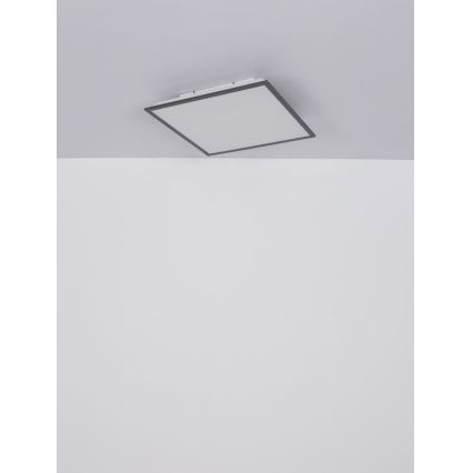 Globo - LED Plafonjera LED/24W/230V