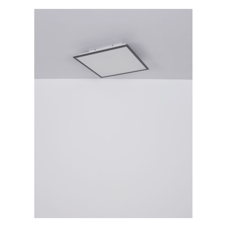 Globo - LED Plafonjera LED/24W/230V