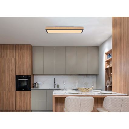 Globo - LED plafonsko svetlo LED/18W/230V