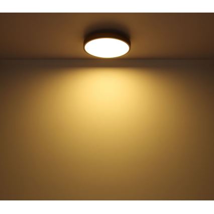 Globo - LED plafonsko svetlo 12W/230V, prečnika 30 cm