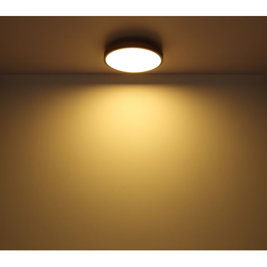 Globo - LED plafonsko svetlo 12W/230V, prečnika 30 cm
