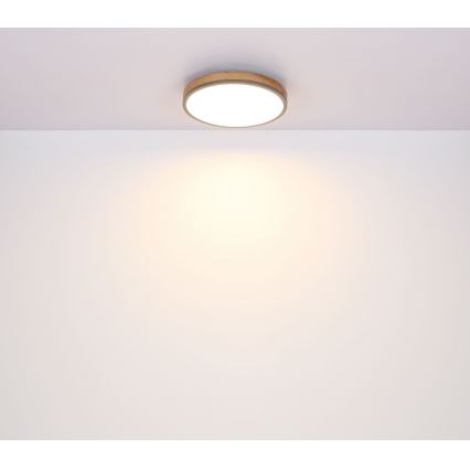 Globo - LED plafonsko svetlo 12W/230V, prečnika 30 cm