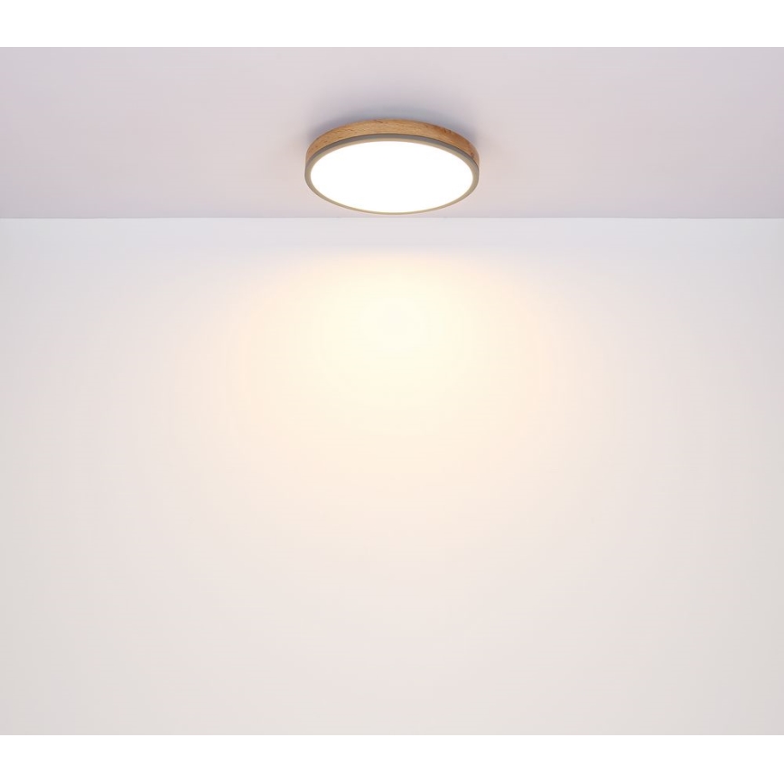 Globo - LED plafonsko svetlo 12W/230V, prečnika 30 cm