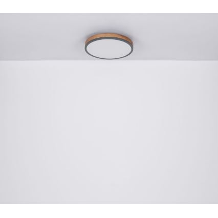 Globo - LED plafonsko svetlo 12W/230V, prečnika 30 cm