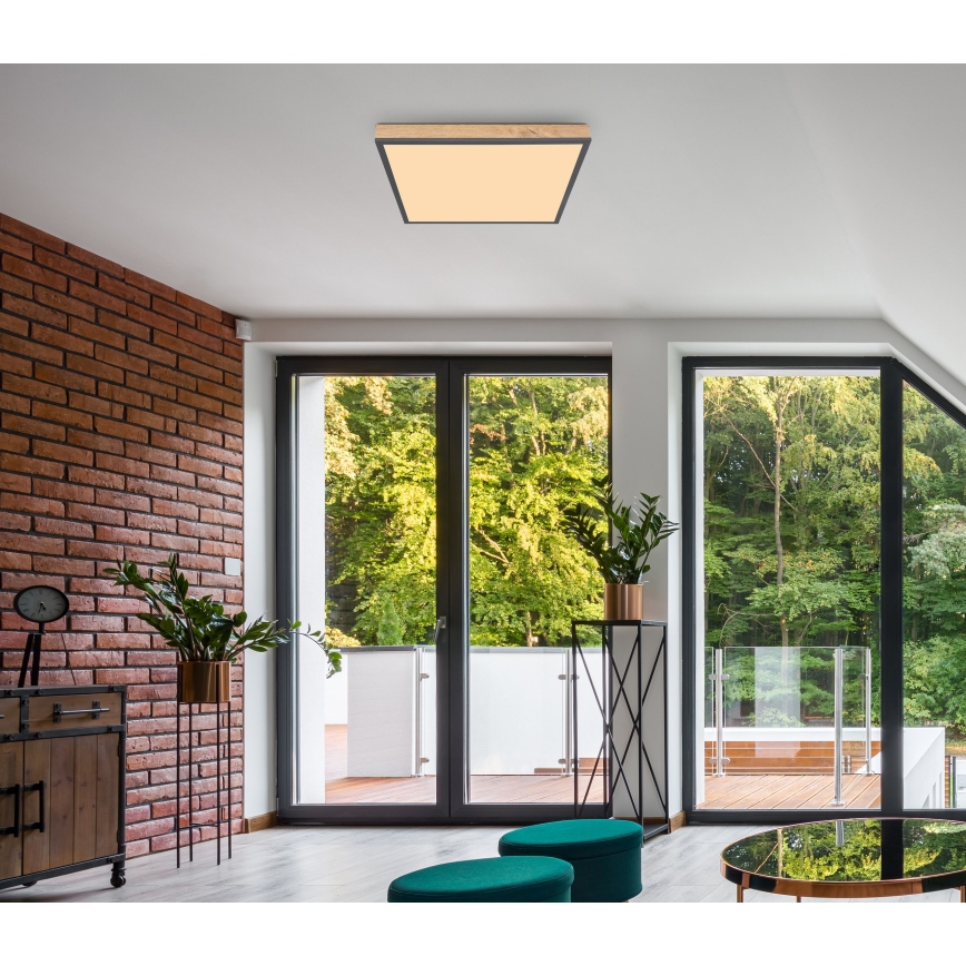 Globo - LED Plafonjera LED/24W/230V