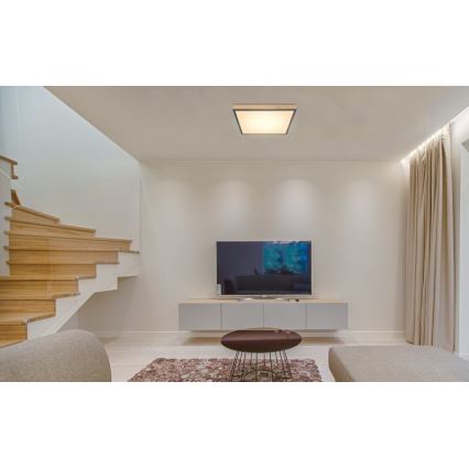 Globo - LED Plafonjera LED/24W/230V
