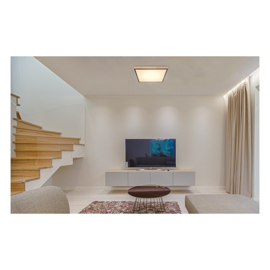 Globo - LED Plafonjera LED/24W/230V