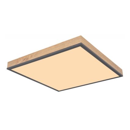 Globo - LED Plafonjera LED/24W/230V