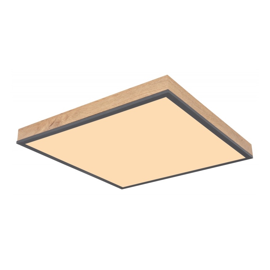 Globo - LED Plafonjera LED/24W/230V