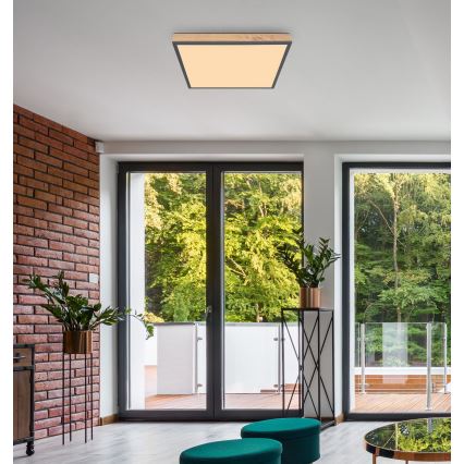 Globo - LED Plafonjera LED/36W/230V