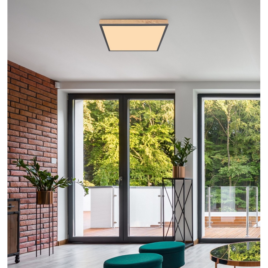 Globo - LED Plafonjera LED/36W/230V