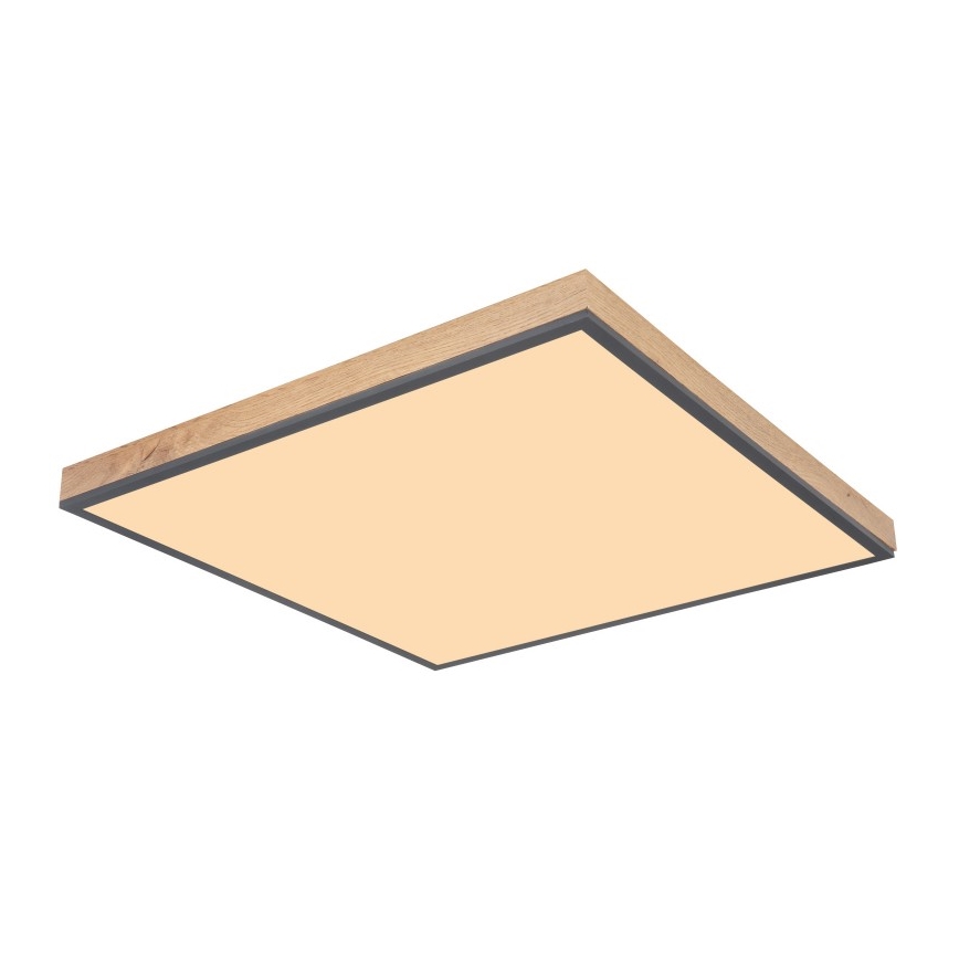 Globo - LED Plafonjera LED/36W/230V