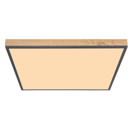 Globo - LED Plafonjera LED/36W/230V