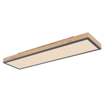 Globo - LED Prigušiva plafonjera LED/24W/230V 2700-6500K + Daljinski upravljač