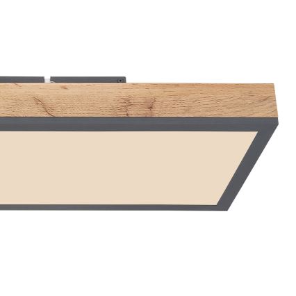 Globo - prigušiva stropna LED svetiljka LED/24W/230V 2700-6500K + daljinski upravljač