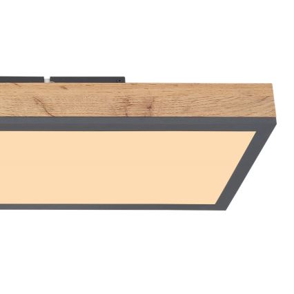 Globo - LED Plafonjera LED/24W/230V