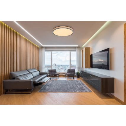 Globo - LED Prigušiva plafonjera LED/40W/230V 2700-6500K pr. 60 cm + Daljinski upravljač braon/sivo