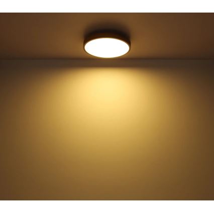 Globo - LED Prigušiva plafonjera LED/40W/230V 2700-6500K pr. 60 cm + Daljinski upravljač braon/sivo