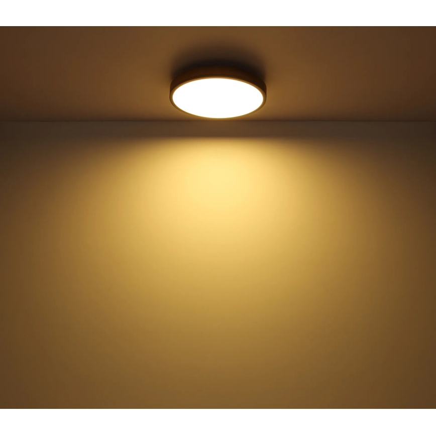 Globo - LED Prigušiva plafonjera LED/40W/230V 2700-6500K pr. 60 cm + Daljinski upravljač braon/sivo