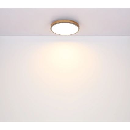 Globo - LED Prigušiva plafonjera LED/40W/230V 2700-6500K pr. 60 cm + Daljinski upravljač braon/sivo