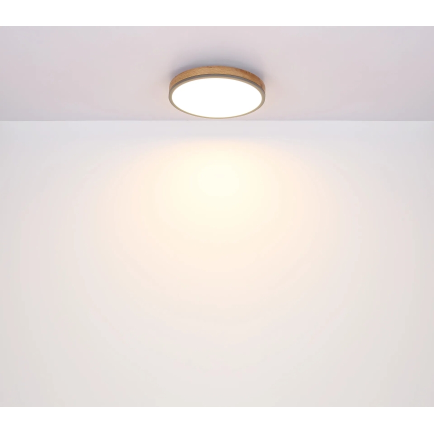 Globo - LED Prigušiva plafonjera LED/40W/230V 2700-6500K pr. 60 cm + Daljinski upravljač braon/sivo