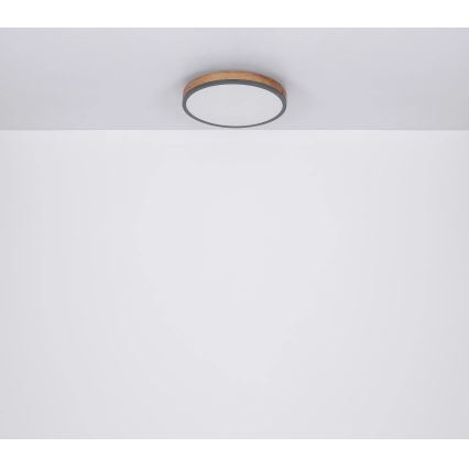 Globo - LED Prigušiva plafonjera LED/40W/230V 2700-6500K pr. 60 cm + Daljinski upravljač braon/sivo