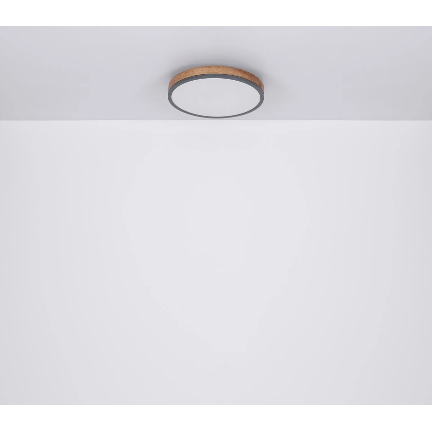 Globo - LED Prigušiva plafonjera LED/40W/230V 2700-6500K pr. 60 cm + Daljinski upravljač braon/sivo