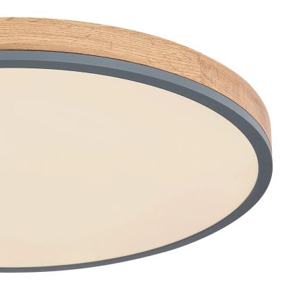Globo - LED Prigušiva plafonjera LED/40W/230V 2700-6500K pr. 60 cm + Daljinski upravljač braon/sivo