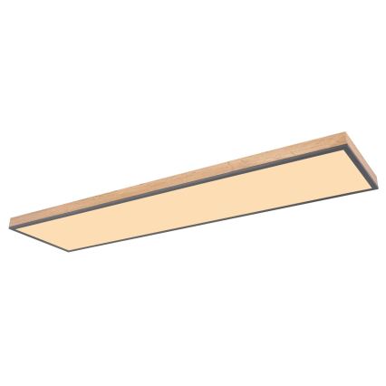 Globo - LED Prigušiva plafonjera LED/36W/230V 2700-6500K + Daljinski upravljač braon/sivo