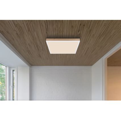 Globo - LED Prigušiva plafonjera LED/24W/230V 2700-6500K + Daljinski upravljač braon/bela