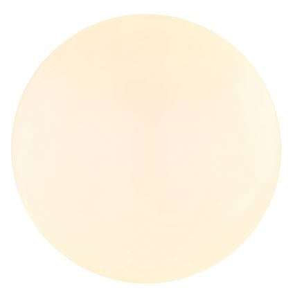 Globo - LED Plafonjera LED/18W/230V