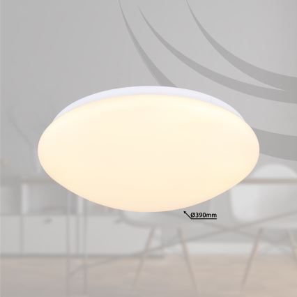 Globo - LED Plafonjera LED/18W/230V