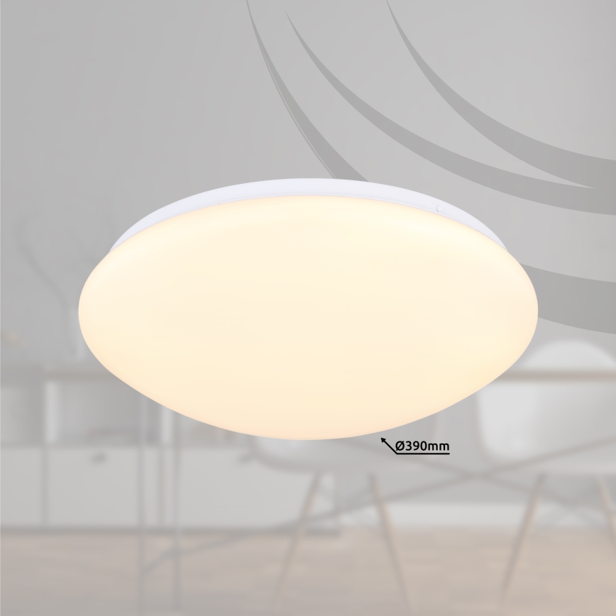 Globo - LED Plafonjera LED/18W/230V