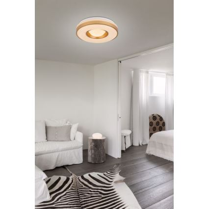 Globo - LED Plafonjera LED/24W/230V