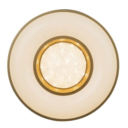 Globo - LED Plafonjera LED/24W/230V