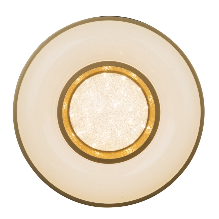 Globo - LED Plafonjera LED/24W/230V